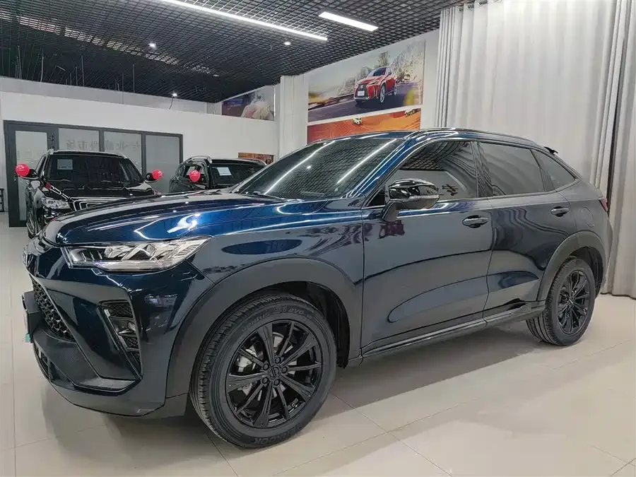 Haval H6S Haval H6S 2022 2.0T 2WD Joy Run Edition 2022 — фото 1, купить с доставкой в Москву