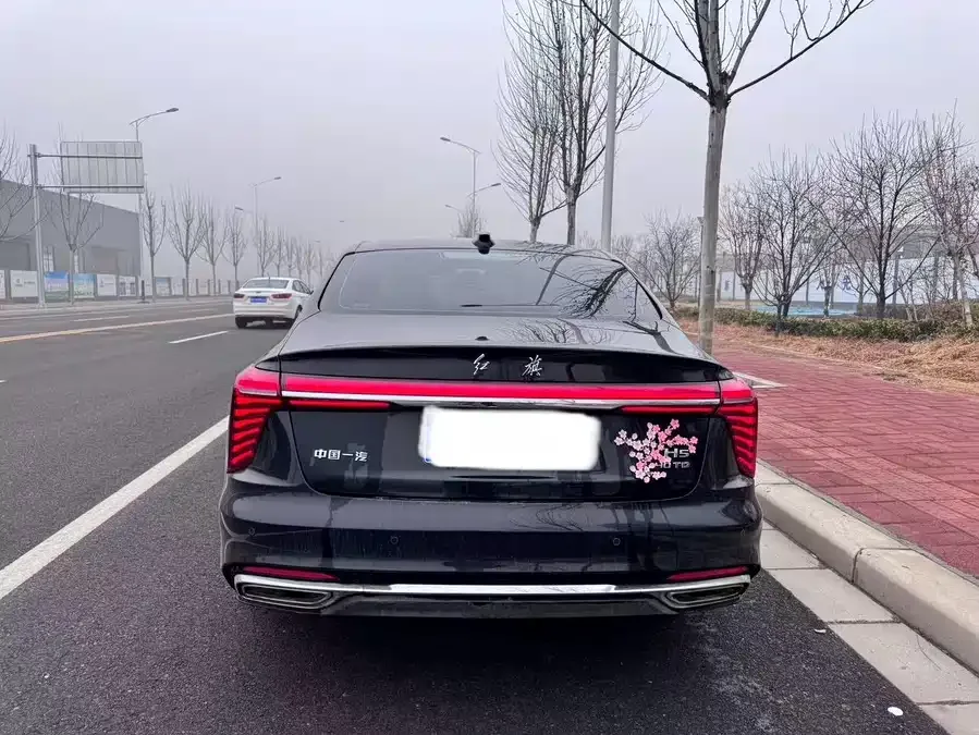 Hongqi H5 Hongqi H5 2025 2.0T Automatic Flagship Edition 2025 — миниатюра 5