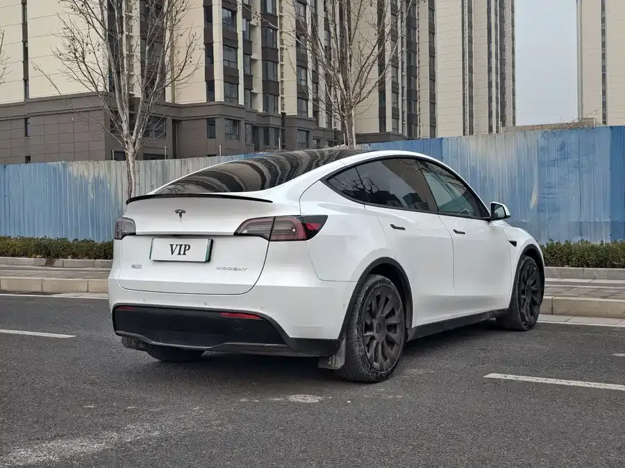 Tesla Model Y Model Y 2022 Long Range All-Wheel Drive Version 2022 — миниатюра 3
