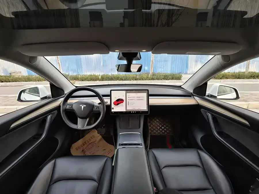 Tesla Model Y Model Y 2022 Long Range All-Wheel Drive Version 2022 — миниатюра 4