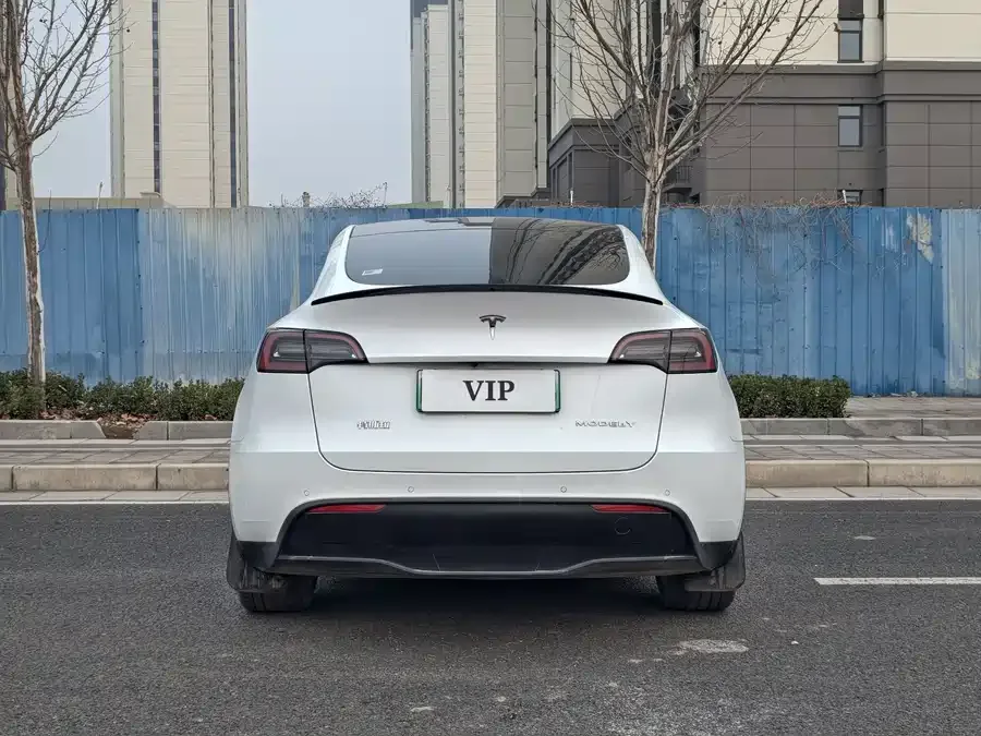 Tesla Model Y Model Y 2022 Long Range All-Wheel Drive Version 2022 — миниатюра 5