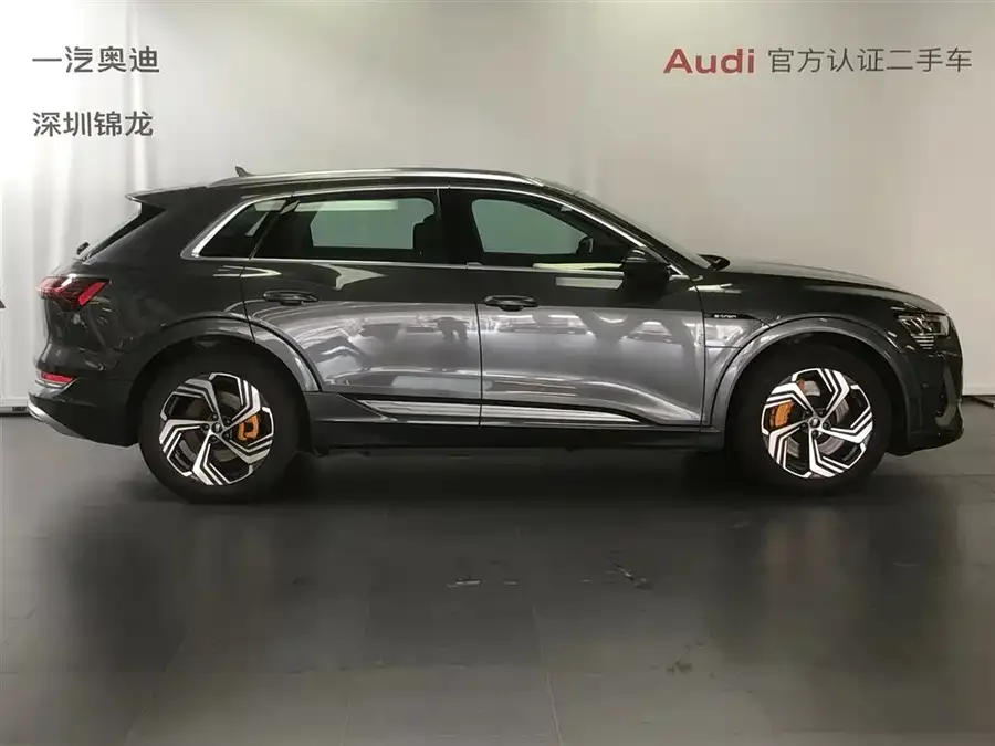 Audi e-tron 2021 50 quattro model selection 2022 — миниатюра 2