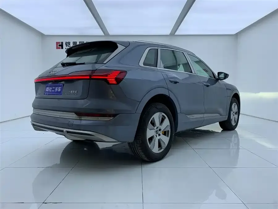 Audi e-tron 2021 50 quattro Luxury 2026 — миниатюра 2