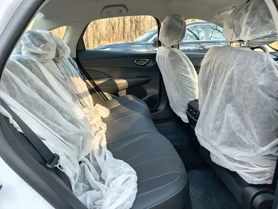 BYD seal 05 DM-i Seal 05 DM-i 2026 DM-i 128KM Luxury Edition 2026 — миниатюра 4