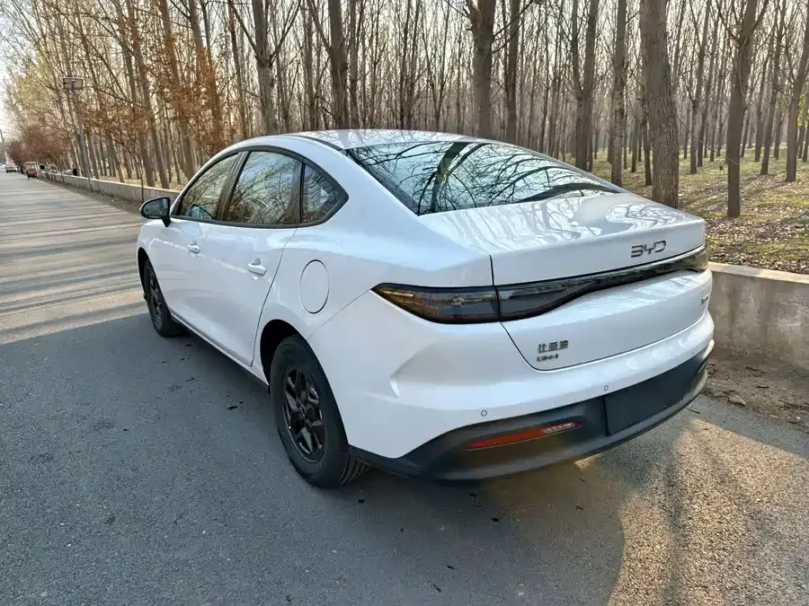 BYD seal 05 DM-i Seal 05 DM-i 2026 DM-i 128KM Luxury Edition 2026 — миниатюра 5