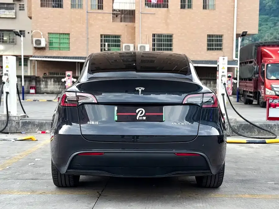 Tesla Model Y Model Y 2024 long-range all-wheel drive version 2024 — миниатюра 2