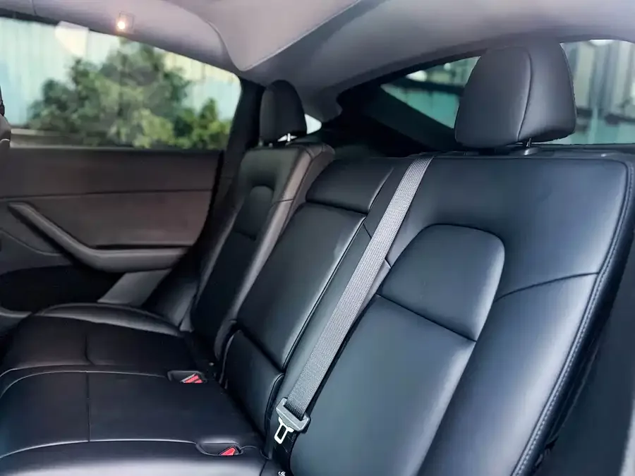 Tesla Model Y Model Y 2024 long-range all-wheel drive version 2024 — миниатюра 4