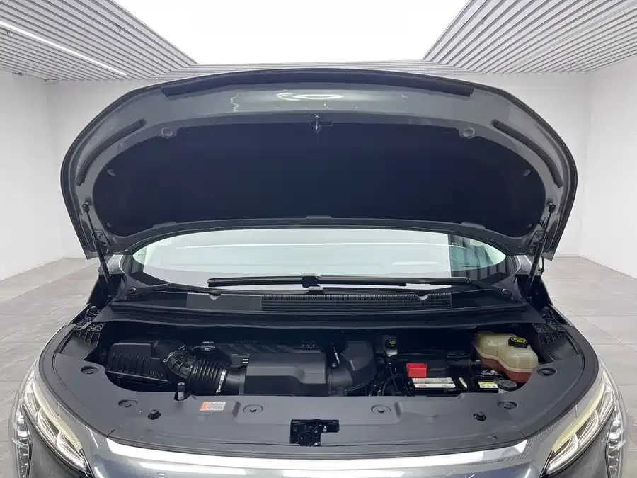 Buick Century Century 2023 2.0T Four-seat Private Edition 2023 — миниатюра 3