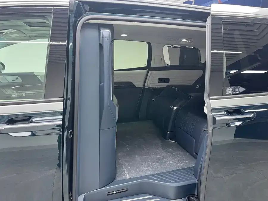 Buick Century Century 2023 2.0T Four-seat Private Edition 2023 — миниатюра 5