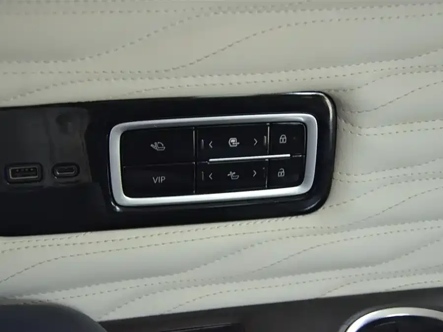 Buick Century Century 2023 2.0T Four-seat Private Edition 2023 — миниатюра 4