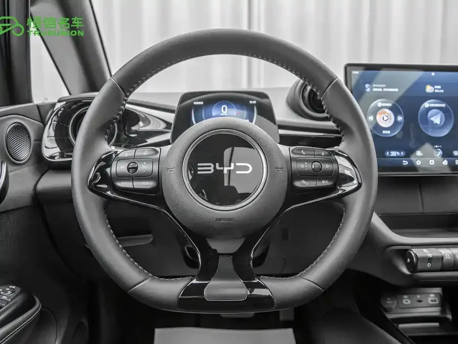 BYD Dolphin Dolphin 2024 Honor Edition 420km Fashion Edition 2024 — миниатюра 5