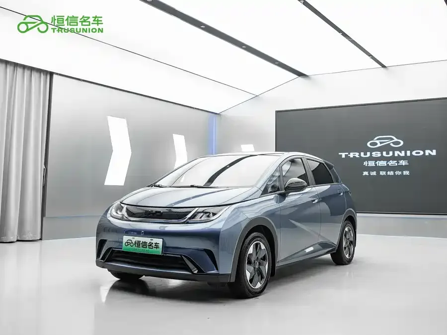 BYD Dolphin Dolphin 2024 Honor Edition 420km Fashion Edition 2024 — фото 1, купить с доставкой в Москву