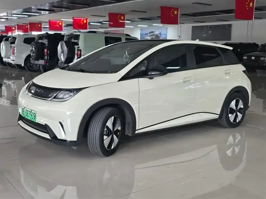 BYD Dolphin Dolphin 2023 420km Freedom Edition 2023 — фото 1, купить с доставкой в Москву