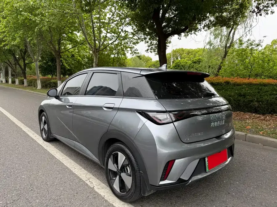 BYD Dolphin Dolphin 2023 420km Fashion Edition 2023 — миниатюра 4