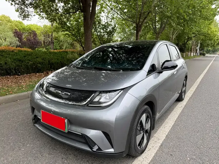 BYD Dolphin Dolphin 2023 420km Fashion Edition 2023 — фото 1, купить с доставкой в Москву