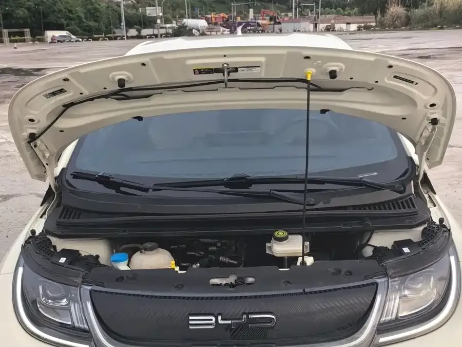 BYD Dolphin Dolphin 2023 420km Freedom Edition 2024 — миниатюра 4