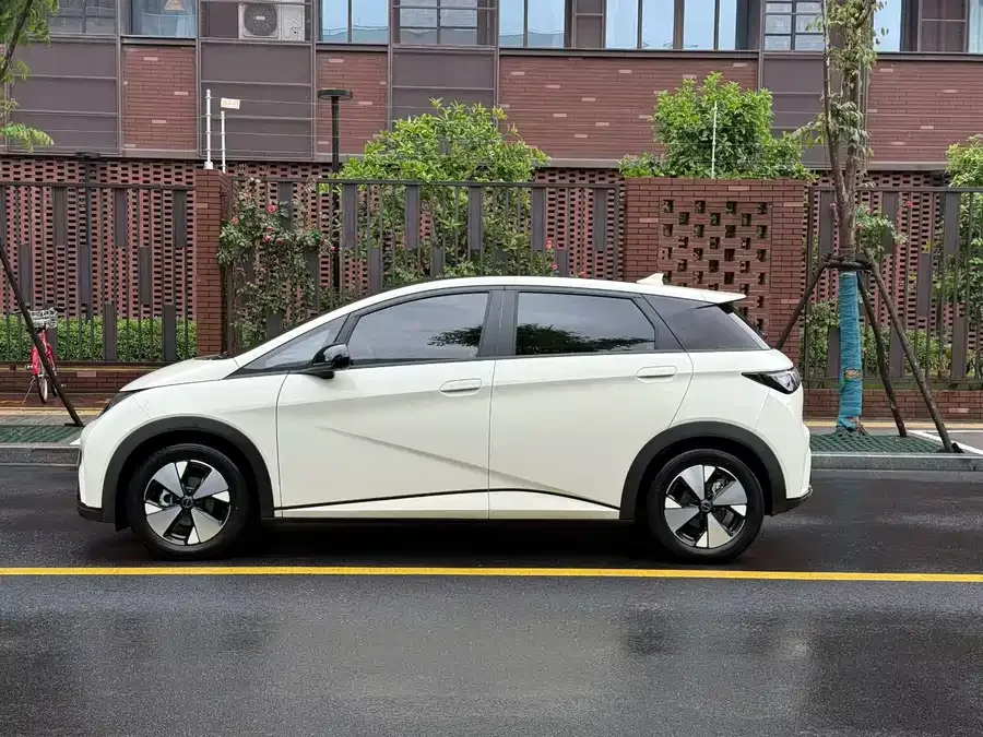 BYD Dolphin Dolphin 2023 420km Fashion Edition 2023 — миниатюра 4