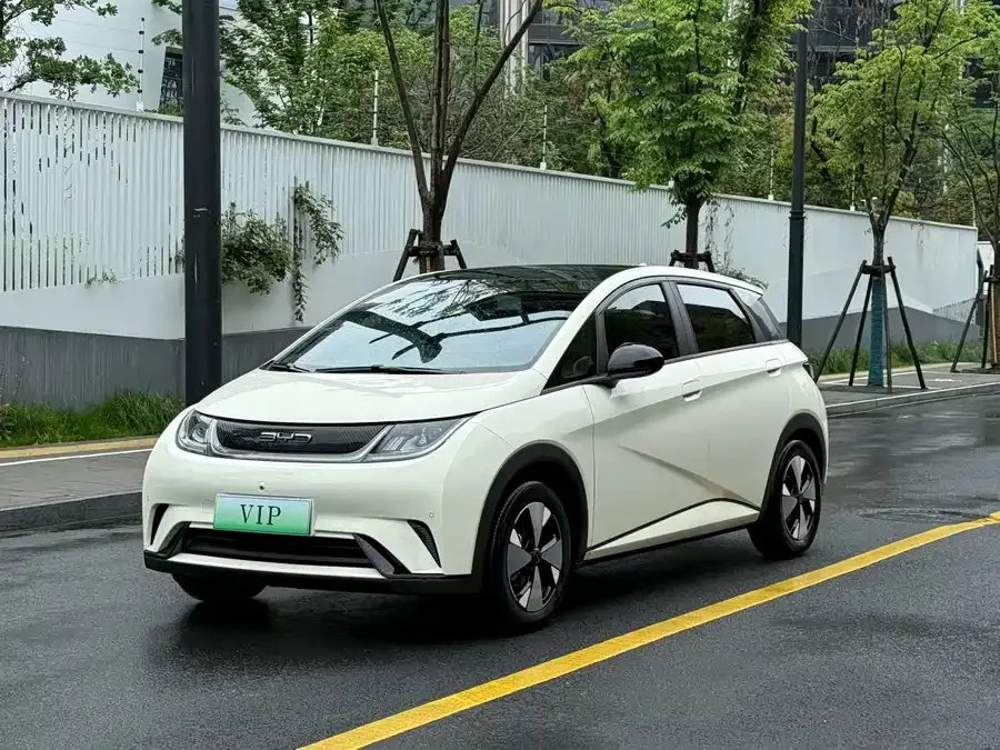 BYD Dolphin Dolphin 2023 420km Fashion Edition 2023 — фото 1, купить с доставкой в Москву