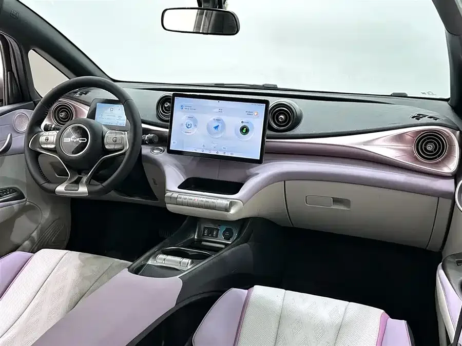 BYD Dolphin Dolphin 2023 420km Freedom Edition 2024 — миниатюра 4