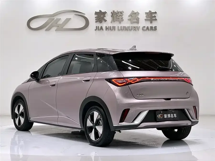 BYD Dolphin Dolphin 2023 420km Freedom Edition 2024 — миниатюра 5