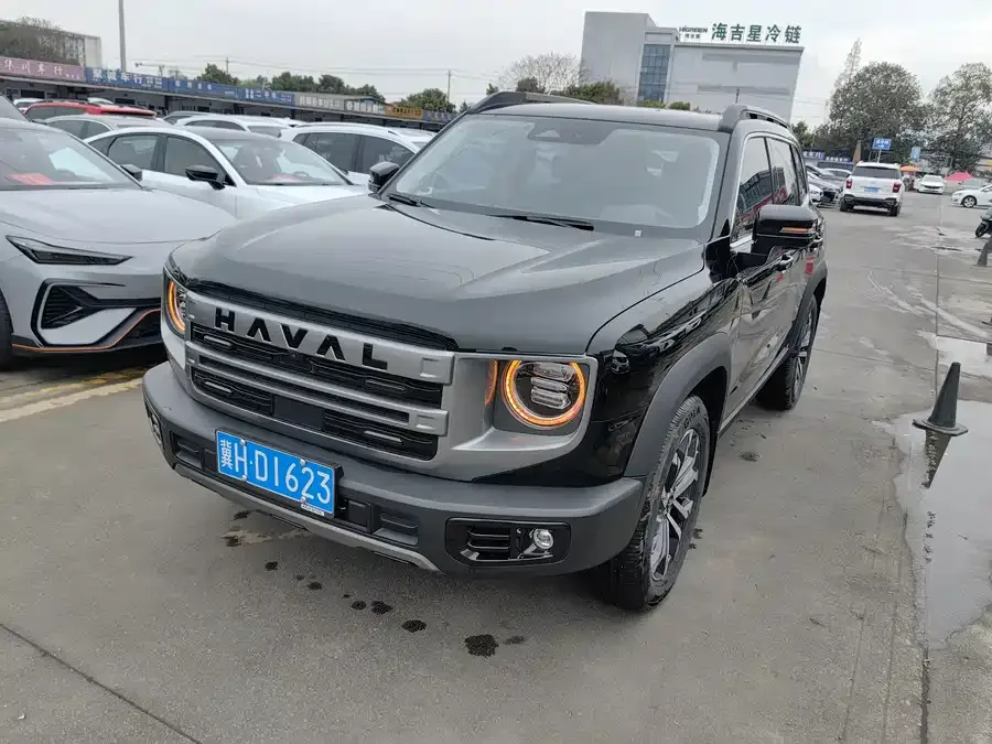 Haval Big dog Haval Big Dog 2024 1.5T DCT Border Collie Edition 2024 — фото 1, купить с доставкой в Москву