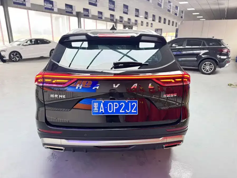 Haval H6 Haval H6 2021 National Fashion Edition 1.5T Automatic Champion Edition 2022 — миниатюра 2