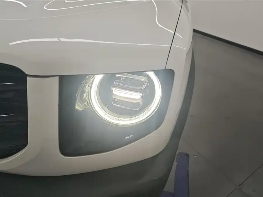 Haval Big dog Haval Big Dog 2021 1.5T DCT 2WD Border Collie Edition 2022 — миниатюра 2