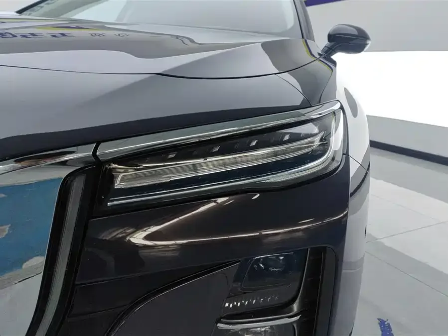 Hongqi H5 Hongqi H5 2023 2.0T Automatic Intelligent Connection Flagship Edition 2023 — миниатюра 2