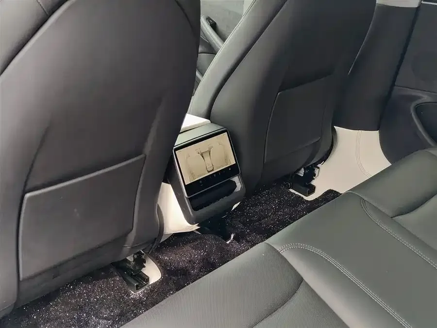Tesla Model 3 Model 3 2023 Long Range All-Wheel Drive 2024 — миниатюра 3
