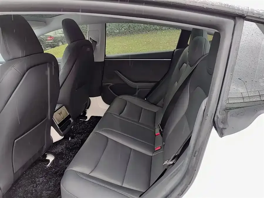 Tesla Model 3 Model 3 2023 Long Range All-Wheel Drive 2024 — миниатюра 5