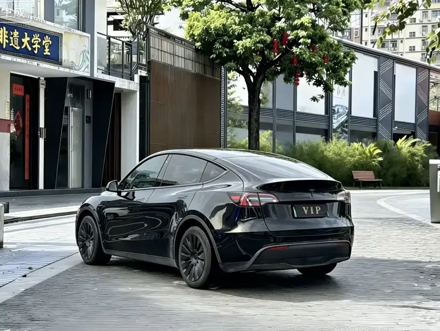 Tesla Model Y Model Y 2023 rear-wheel drive version 2023 — миниатюра 3