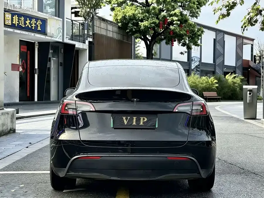Tesla Model Y Model Y 2023 rear-wheel drive version 2023 — миниатюра 5