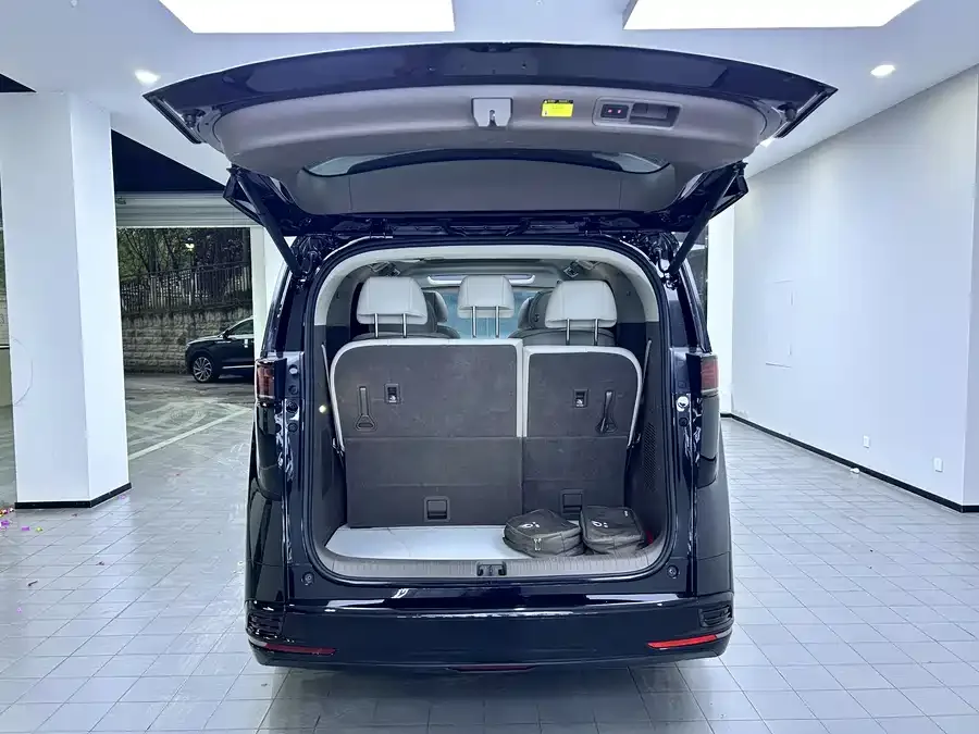 BYD D9 DENZA D9 2022 DM-i 945 Luxury Edition 2023 — миниатюра 3