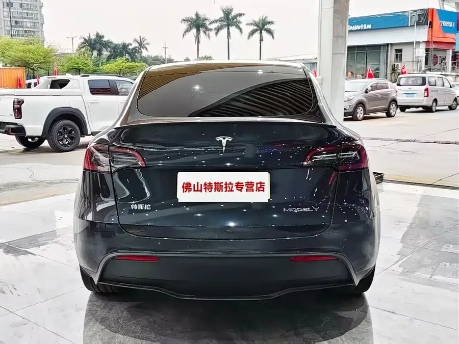 Tesla Model Y Model Y 2024 long-range all-wheel drive version 2024 — миниатюра 4