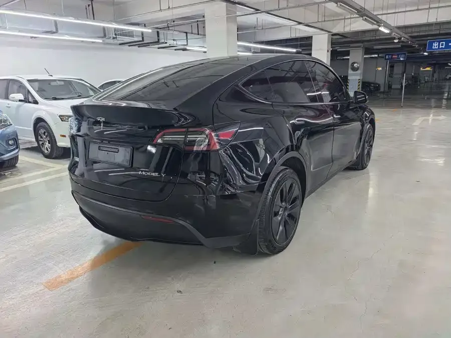 Tesla Model Y Model Y 2024 long-range all-wheel drive version 2024 — миниатюра 2