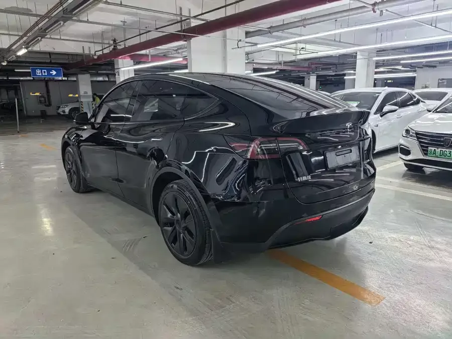 Tesla Model Y Model Y 2024 long-range all-wheel drive version 2024 — миниатюра 3
