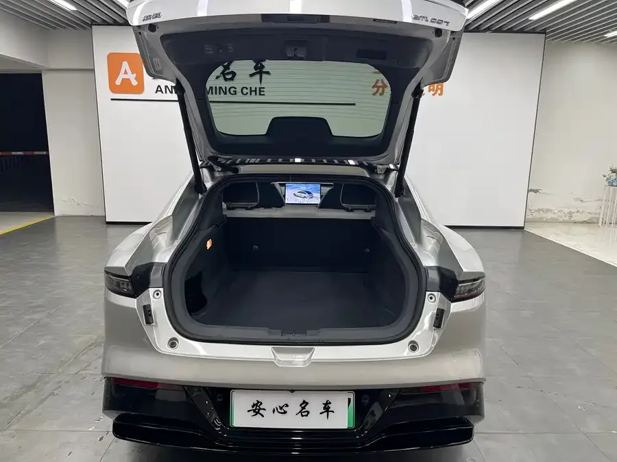 Dongfeng e007 e007 2024 530Pro Edition 2024 — миниатюра 2