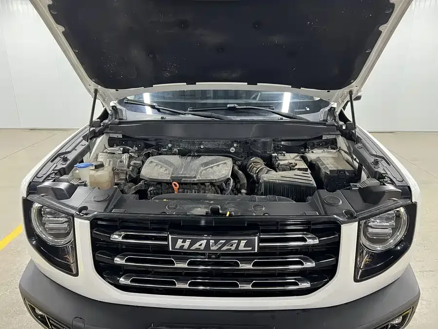 Haval Big dog Haval Big Dog 2022 2.0T DCT 4WD Chinese Pastoral Dog Edition 2023 — миниатюра 5