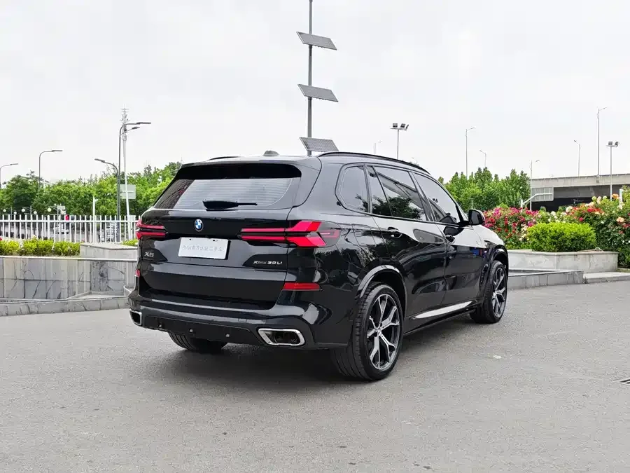 BMW X5 2025 xDrive 30Li Exclusive M Sport Night Edition 2025 — миниатюра 2