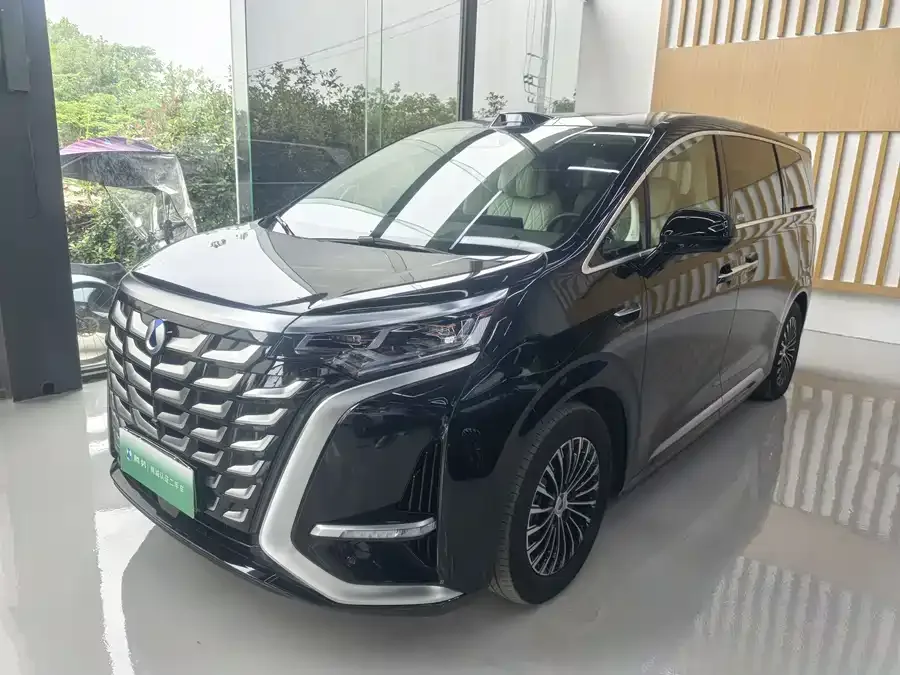 BYD D9 2025