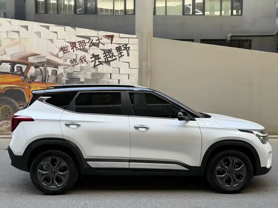 Kia Cyrus (Seltos) 2023 Certus 1.5L CVT Luxury Edition 2023 — миниатюра 4