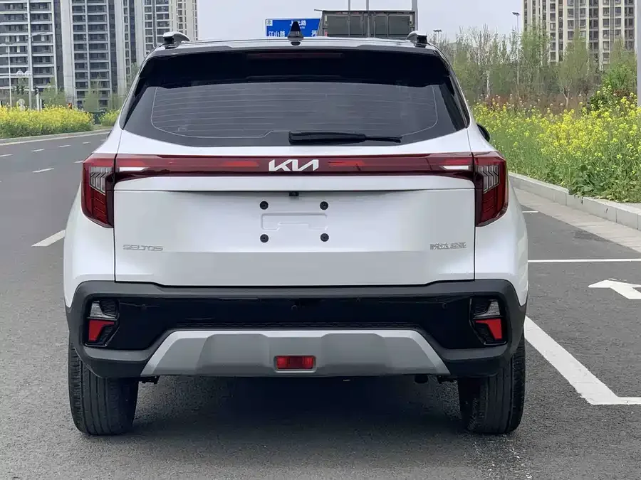 Kia Cyrus (Seltos) 2023 Certus 1.5L CVT Luxury Edition 2024 — миниатюра 4