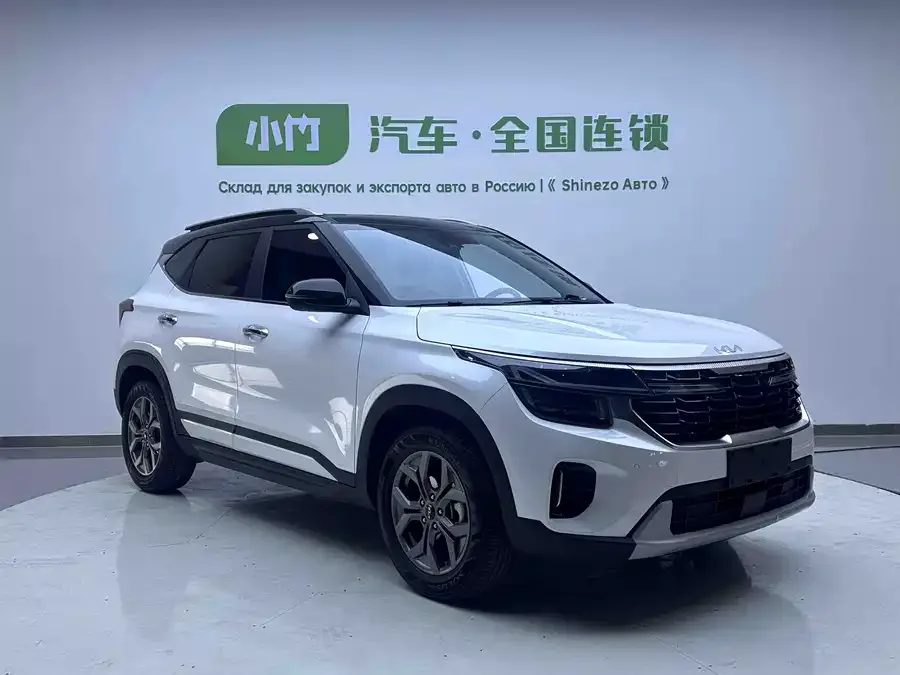 Kia Cyrus (Seltos) 2023 Certus 1.5L CVT Luxury Edition 2023 — миниатюра 3