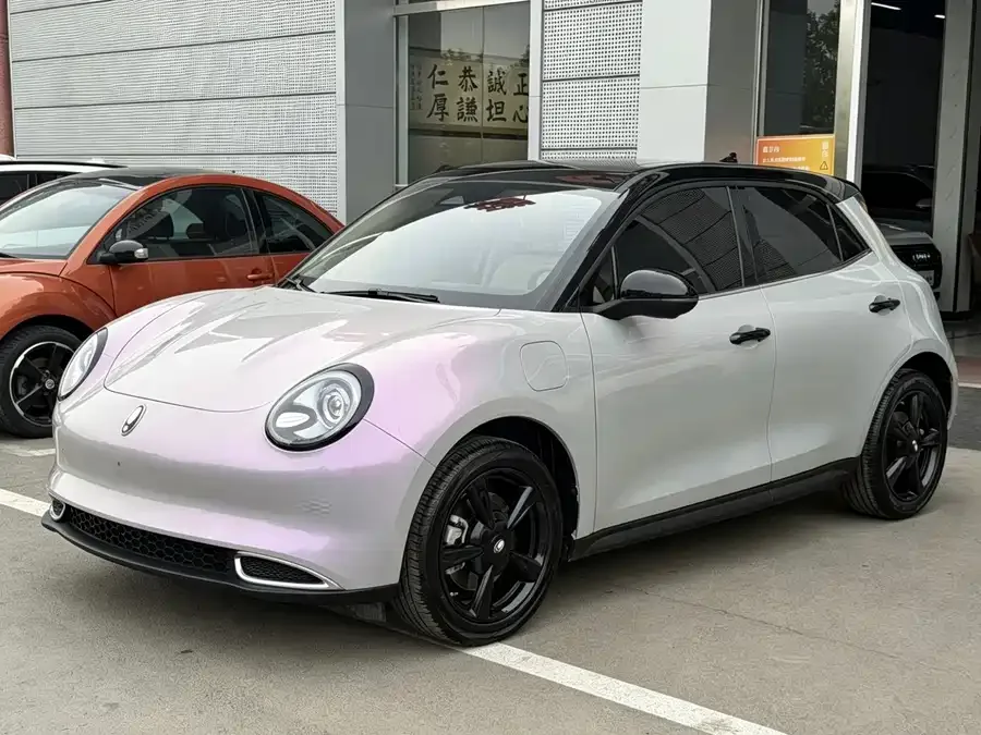 ORA good cat ORA Good Cat 2024 401km Luxury Model 2024 — фото 1, купить с доставкой в Москву