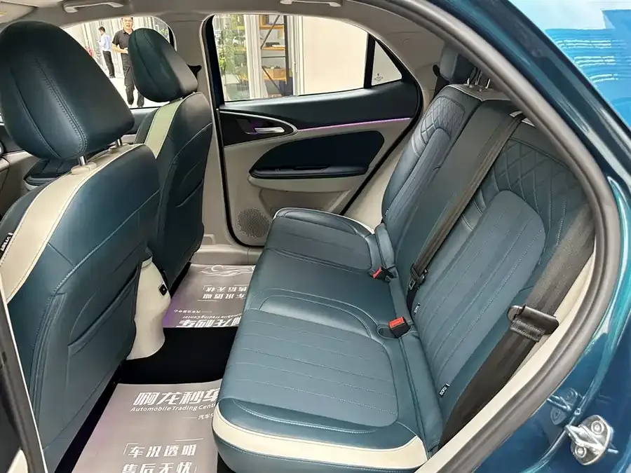 ORA good cat Euler Good Cat 2022 400km standard range premium ternary lithium model 2022 — миниатюра 3