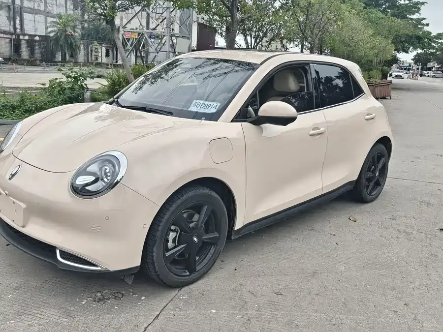 ORA good cat ORA Good Cat 2024 401km Premium 126kW 2024 — фото 1, купить с доставкой в Москву
