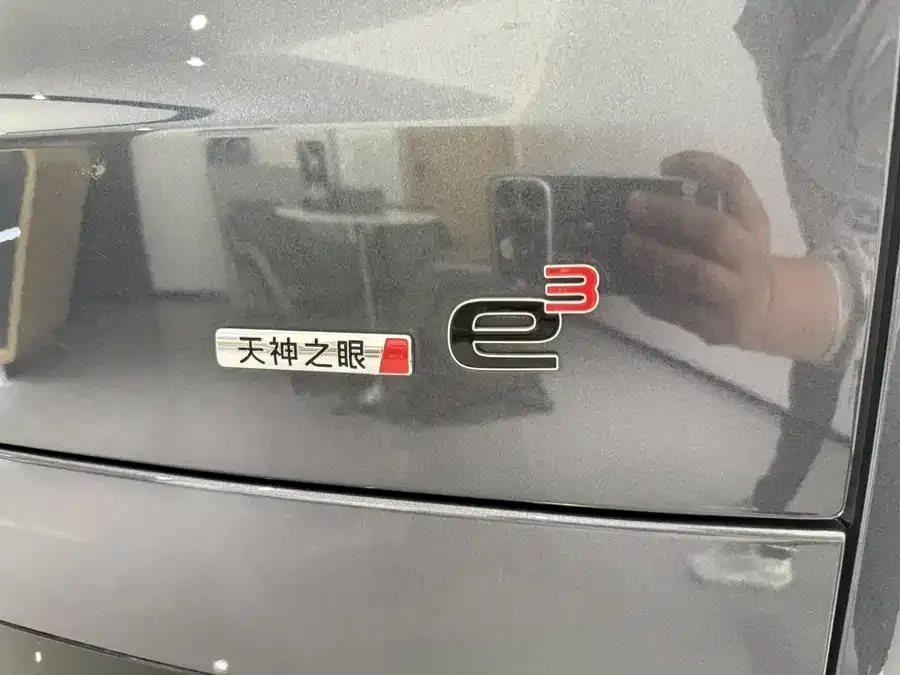 BYD N9 Denza N9 2025 Premium Edition 2025 — миниатюра 5