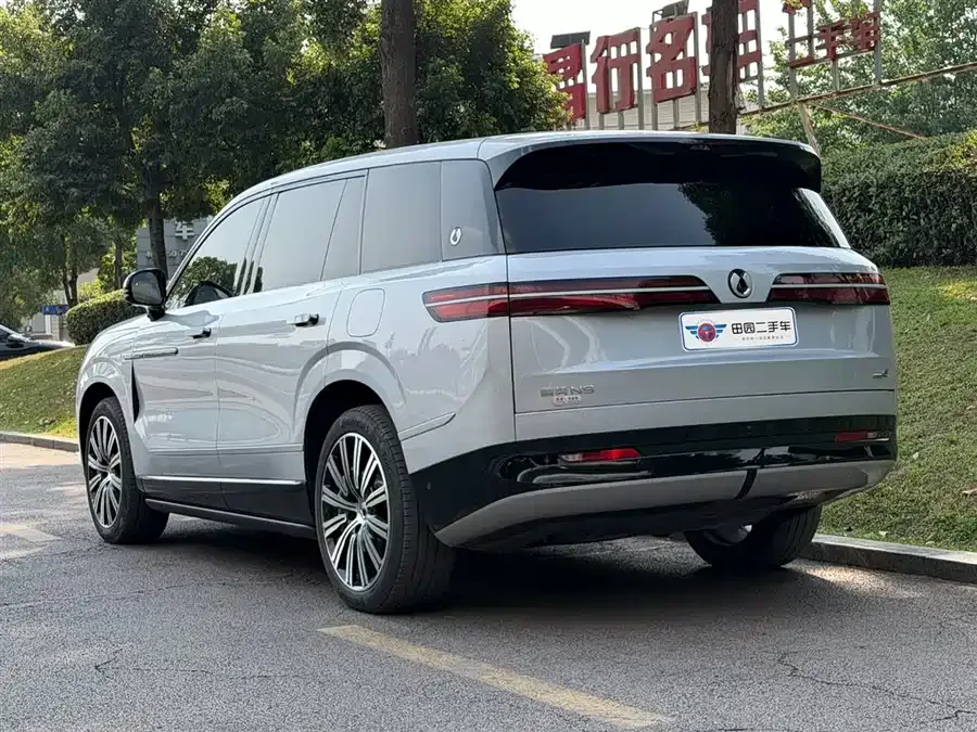 BYD N9 Denza N9 2025 flagship model 2025 — миниатюра 4