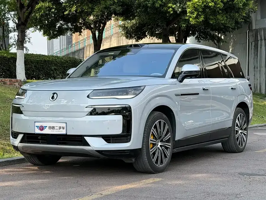 BYD N9 2025