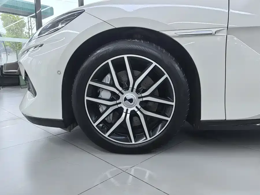 BYD Z9 Denza Z9 2024 1100km 4WD Max Edition 2024 — миниатюра 2